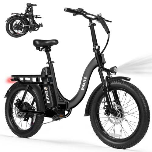 ESKUTE D200
