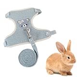 WUYJI Small Animal Leads, 1 Stück Kaninchenleine kleine Haustiertragetasche verstellbare Katzenleine Kaninchen-Brustgeschirr geeignet für 1–2,5 kg (blau)