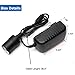 HUAPX AC to DC Converter 24W 2A Car Cigarette Lighter Socket Adapter,HPX-018 Car Plug Outlet Adapter 110-240V to 12V DC Power Adapter, NOT for Vacuum Cleaner(2A)