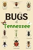 Bug Of Tennessee: Identification Log Book for Insect Enthusiasts, Bug Journal to Observe and Record Bug & Insect Collecting Information, Bug Lovers (Gifts for Kids And Adults Entomologists)