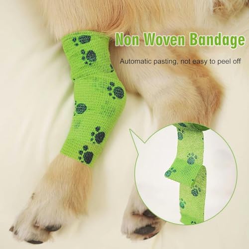 CVDYWDJIE 1 Stück Anti-Leckhalsband Für Haustiere Und 1 Stück Weiche, Atmungsaktive Haustierbandage, Haustierbedarf, Verstellbares Haustierhalsband, Wasserdichtes Haustierhalsband