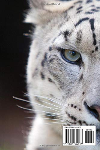 Snow Leopard Notebook: Small lined Snow Leopard notebook - Travel Journal to write in - 120 pages - 6"x9" - Image 2