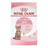 Royal Canin Feline Health Nutrition Spayed/Neutered Kitten Dry Cat Food, 2.5 lb Bag