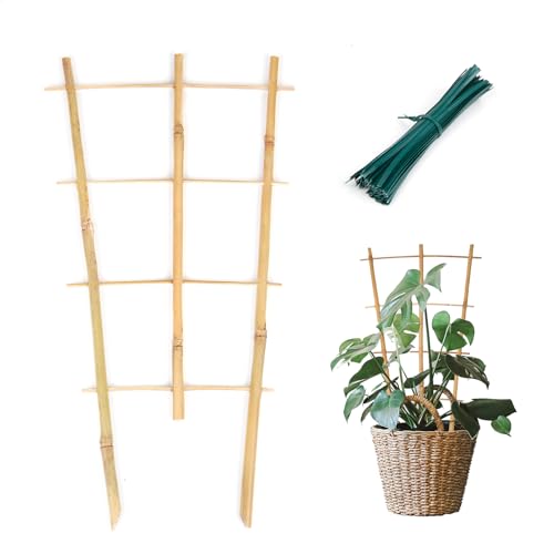 Cambaverd Plant Trellis Indoor 3 Pack Bamboo Trellises 16in Fan-Shaped Trellis for Potted Plants Climbing Plants Hoya Vine Ivy