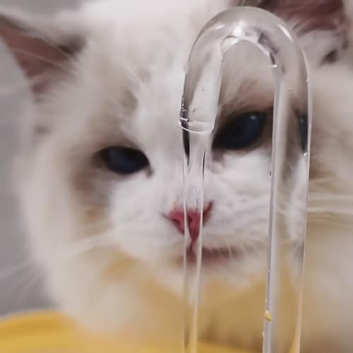 Bebedero automático para gatos y perros 1.5L USB silencioso miniatura 5