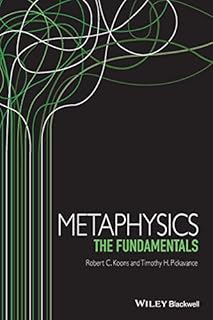 Metaphysics: The Fundamentals (Fundamentals of Philosophy)