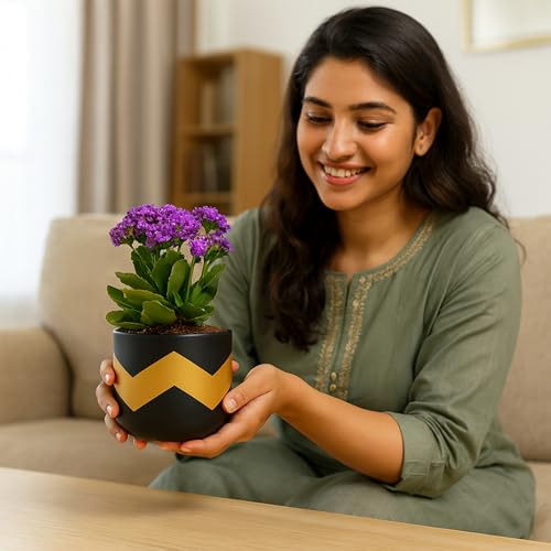 Image of Urban Plant Terracotta Pot - Trendy Planter for Modern Home & Garden Spaces (Nova Terracotta Pot - Black)