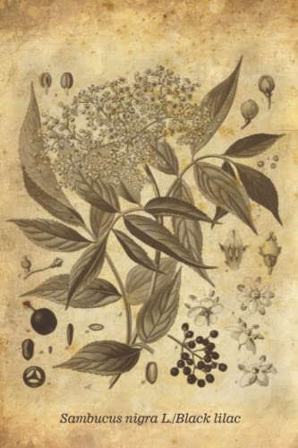 Notebook with botanical/plant cover. Sambucus nigra L./Black lilac (Old style botanical notebooks)