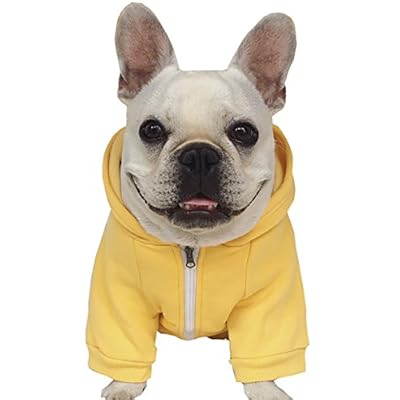 Amazon french bulldog clothes Clearance
