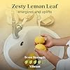 Enviroscent Non Toxic Air Freshener (Lemon Leaf & Thyme) Plug-in Home Fragrance Last 45+ Days | Kit includes 1 Refillable Plug In Warmer & 1 Scent Refill #2
