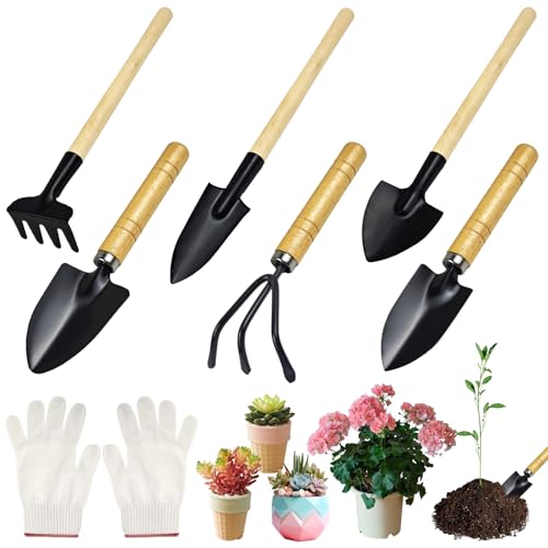 YIMETOP Gartenwerkzeug Set 6-TLG Mini | Gartenschaufel, Rechen & Spaten mit Holzgriff | Für Bonsai, Topfblumen, Umpflanzen | Handheld Gartengeräte Premium YIMETOP Gartenwerkzeug Set 6-TLG Mini | Gartenschaufel, Rechen & Spaten mit Holzgriff | Für Bonsai, Topfblumen, Umpflanzen | Handheld Gartengeräte Premium
