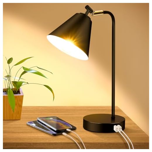 Industrial Dimmable Desk Lamp with 2 USB Charging Ports AC Outlet, Touch Control Bedside Nightstand Reading Lamp Flexible Head, Black Metal Table Lamp for Bedroom Office Living Room, Bulb Included