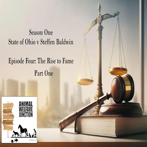 Season One: State v. Steffen Baldwin / Episode 4 The Rise to Fame Part 1 cover art