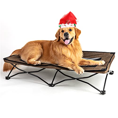 The Best Dog Camping Beds Your Pet Will Love Getaway Couple