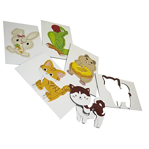 Combo 6 Livros Box com Quebra-Cabeça