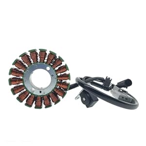Benli TRK251 Zündspule Stator Baugruppe