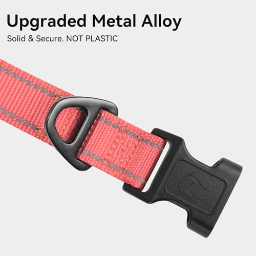 Image of Joytale Reflective Dog Collar, Soft Neoprene Padded, Metal D-Ring, Nylon Pet Collar Adjustable for Extra Large Dogs, Neon Pink, XL