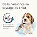 BEAPHAR - Lactol Aufzucht-Milch - Für Hundewelpen - Von Geburt An - Muttermilchersatz Mit DHA, Vitaminen Und Mineralien - Unterstützt Gesunde Aufzucht Und Stärkung - 1 kg