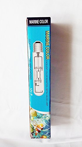 MARINE COLOR Ampoule HQI 250W 20 000K Halogénures Métalliques Double Ended E40 pour Aquarium Marin, Éclairage Récif, Coraux et Plantes Sous-Marin, Durable et Haute Puissance
