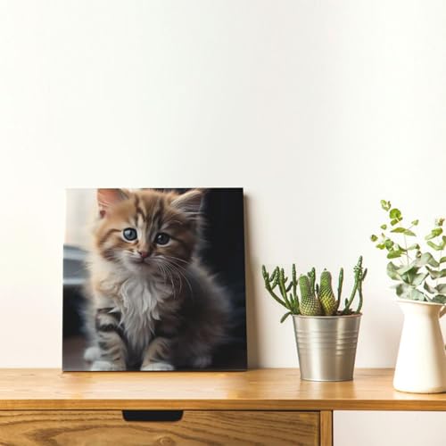 Impression sur toile chaton mignon tableau deco murale chambre 30,5 cm