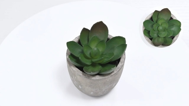 Lot De 4 Plantes Artificielles En Pot - Eucalyptus, Romarin Et Succulentes - Décoration Verte Pour Intérieur