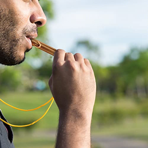 AIEX 4 Pezzi Fischietti Emergenza, con Moschettoni...