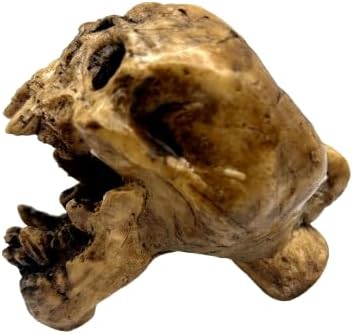 Aztec Death Whistle - Yhdistetty