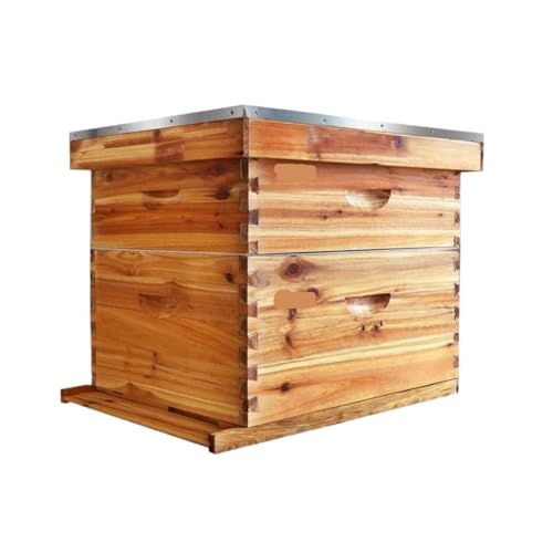 Boîte à abeilles standard dix cadres pour outils apicoles essentiels