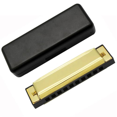 n[jJ 10 n[jJIKy평Sҋ牉tRAn[jJn[v (Color : Gold)