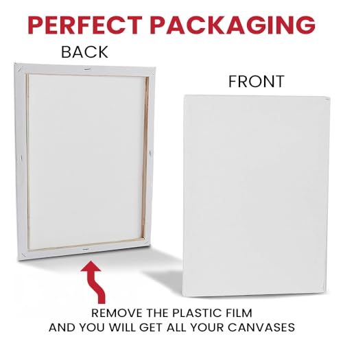 Image of Canvas Champ Pre Stretched Canvas for Painting 10 Oz - 100% Cotton, Pre-Primed Canvas with Wooden Frame (Pack of 1, 48 inch W x 48 inch H)