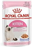 Royal Canin Kitten in JELLY Wet Adult Cat Food (24 x 85g)