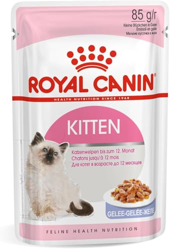 Royal Canin Kitten in JELLY Wet Adult Cat Food (24 x 85g)