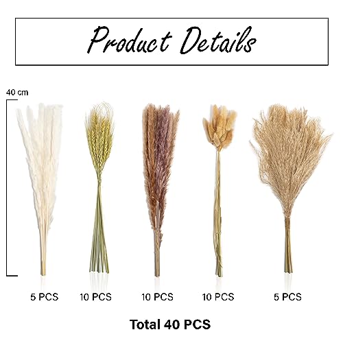 Natural Dried Pampas Grass Plant Bouquet, 40 cm Tall for Autumn Home Boho Table Decor Floral Arrangements - Image 3