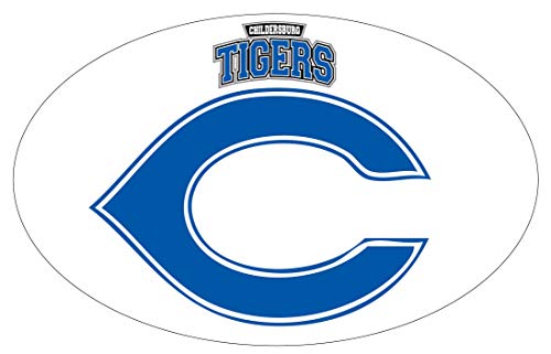Childersburg High School Tigers Childersburg Alabama Sports Team 9” x 14” Jumbo Oval Mascot Magnet