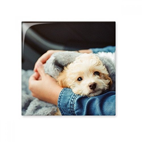 Carrelage céramique chiot mignon cadeau décoration murale - 2