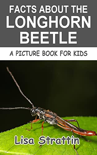 Facts About the Longhorn Beetle (A Picture Book For Kids 542)