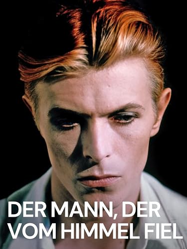 Der Mann, der vom Himmel fiel