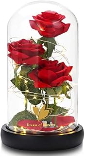 Enchanted rose, Rose Romantic Gift for Her, Beauty and the beast rose, Galaxy Flowers Rose, Forever rose Gifts, Birthday, Wedding, Valentine's Day, Mother's Day, Christmas (rose red)