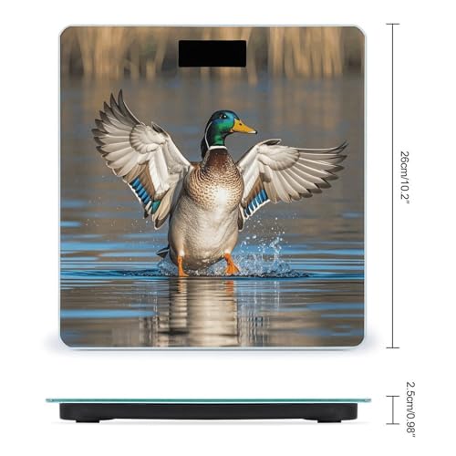 Báscula digital de baño con vidrio templado y pantalla LCD miniatura 2
