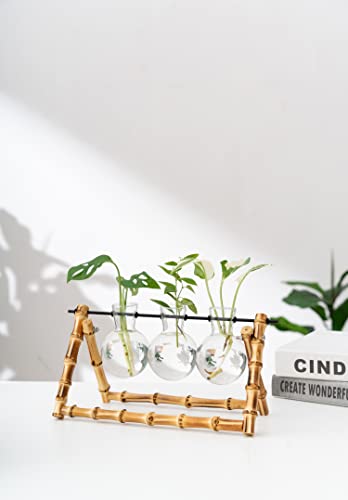 Plant Propagation Stations Terrarium Bamboo Stand, Desktop Planter Glass Bulb Vase Plant Holder Lover Gift Retro Tabletop Indoor Hydroponics Plant Cutting Home Garden Office Decor (Bulb Shape) #TOP7