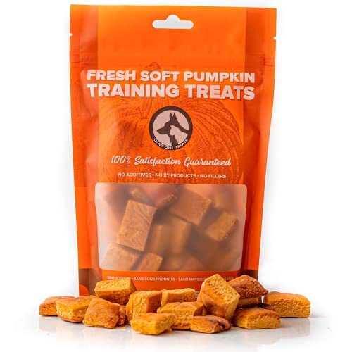 Fruitables Pumpkin SuperBlend Digestive Dog & Cat Supplement, 15-oz