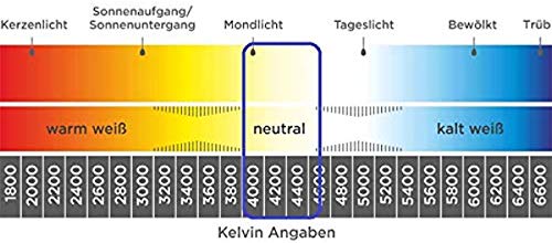 Tubo fluorescente a LED T8, lunghezza: 43,5 cm