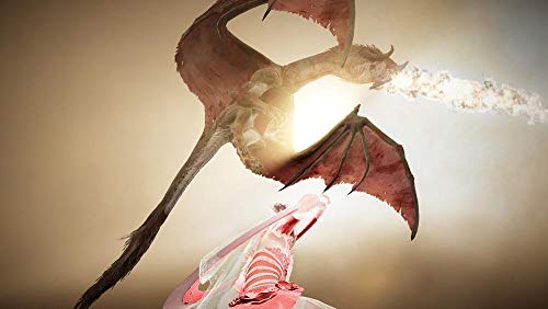 Black Desert Prestige Edition (Xbox One)