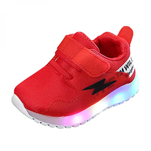 [Cousannory] ^C Xj[J[ ^C ̎q j̎q  ʋC ~ y xr[ V[Y t  _炩 JWA Ԃ C cp t@[XgV[Y sK  K[Y {[CY lC(bh,13.5cm)