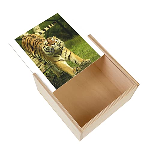 Wooden Box – Tiger Stretching Teaspoon Design (11 x 11 x 3.5 cm)