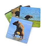 8 Pooping Dogs Funny Coasters for Drinks - Absorbent Cork Base Home Decor Coaster Set for Tabletop Protection, Dog Decor for Dog Lovers, Hilarious Drink Coasters Set Gag