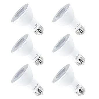 Par20 Bright Led Light Bulbs 5000k Natural Daylight Dimmable, E26 Led Bulb 9w (90watt Equivalent) Recessed Lighting, Outdoor Led Flood Light Bulbs Indoor, Energy Saving Light Bulbs Efficient (6 Pack)