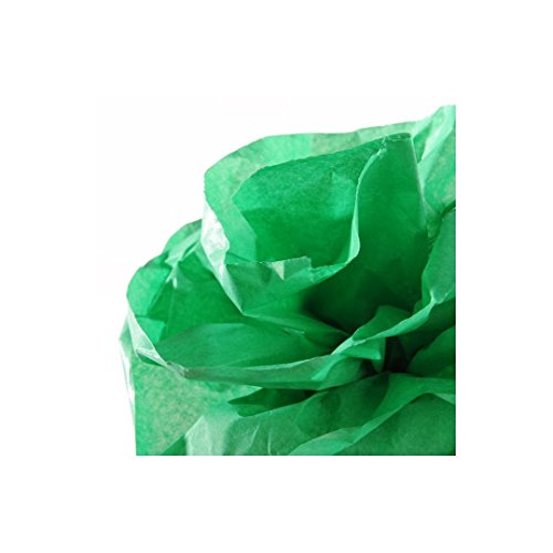 Canson 200992666 Roll Tissue Paper – 0.5 x 5 m, Green Pool, Units Contained: 1