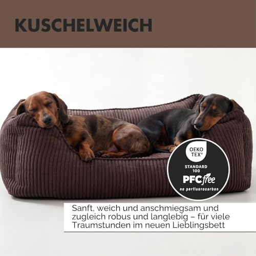 PAW WOW Anton Hundebett | Orthopädisches Hundebett | Hundekörbchen für kleine und mittelgroße Hunde (Braun, 85x65cm)