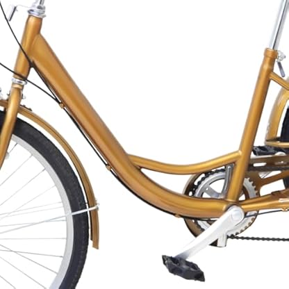 Dreirad Adult Trike Bike Aluminium Baskets Erwachsene Fahrrad Mit Licht Einkaufskorb Rikschadreirad Senioren Tricycle DreiräDriges Korb Lampe ÄLtere Menschen Und Kinder KöNnen Mitfahren 24Zoll – Bild 6